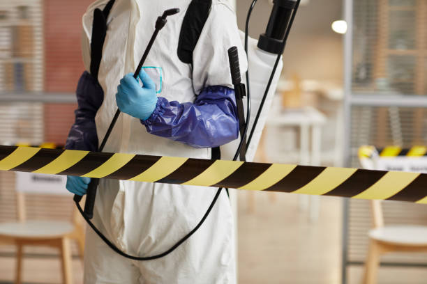 Professional Sewage Cleanup technician working in Titusville, FL