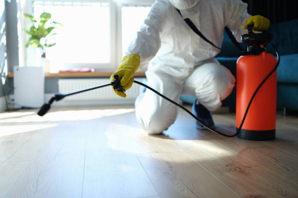 Reliable Sewage Cleanup contractor in Titusville, FL by Trauma Clean Pros
